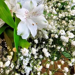 Meet your Posher, Mary